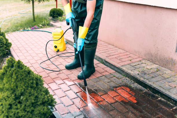 Best Roof Pressure Washing  in Harlan, IA