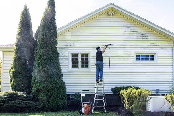 Best Deck Cleaning Services  in Harlan, IA